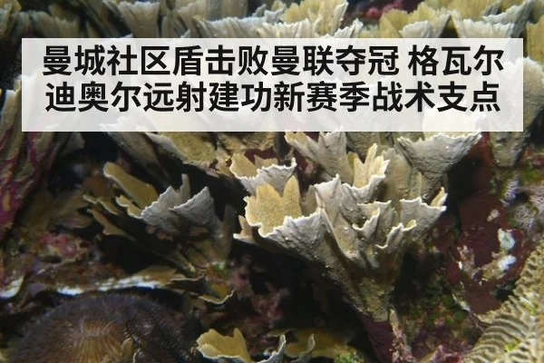 曼城社区盾击败曼联夺冠 格瓦尔迪奥尔远射建功新赛季战术支点 | j9 game