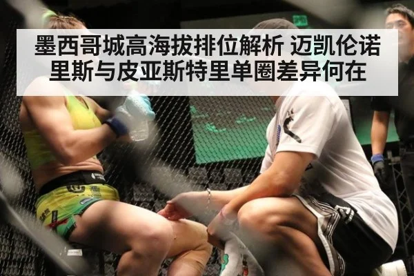 墨西哥城高海拔排位解析 迈凯伦诺里斯与皮亚斯特里单圈差异何在